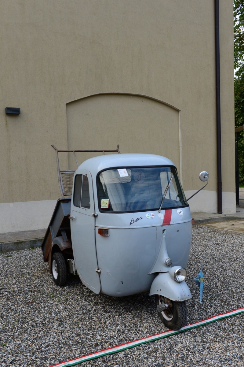 1_DSC_6781